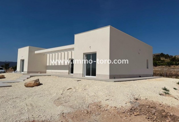 New Build - Villa - Pinoso - Camino Del Prado