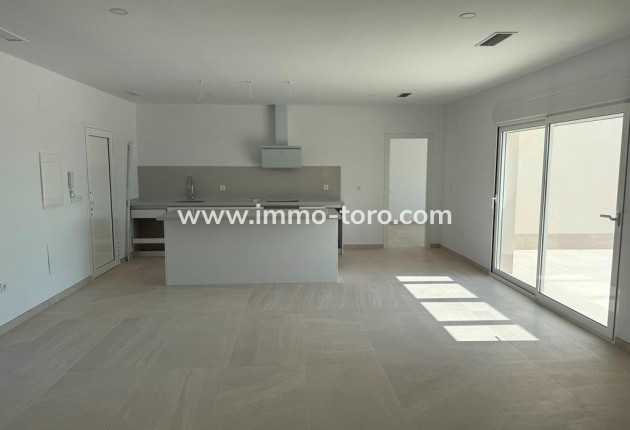 New Build - Villa - Pinoso - Camino Del Prado