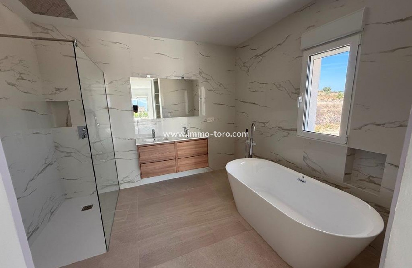 New Build - Villa - Pinoso - Camino Del Prado