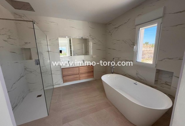 New Build - Villa - Pinoso - Camino Del Prado