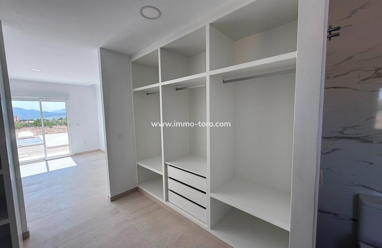 New Build - Villa - Pinoso - Camino Del Prado