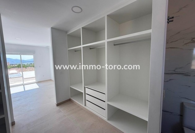 New Build - Villa - Pinoso - Camino Del Prado