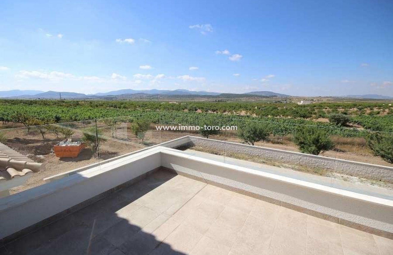 New Build - Villa - Pinoso - Camino Del Prado