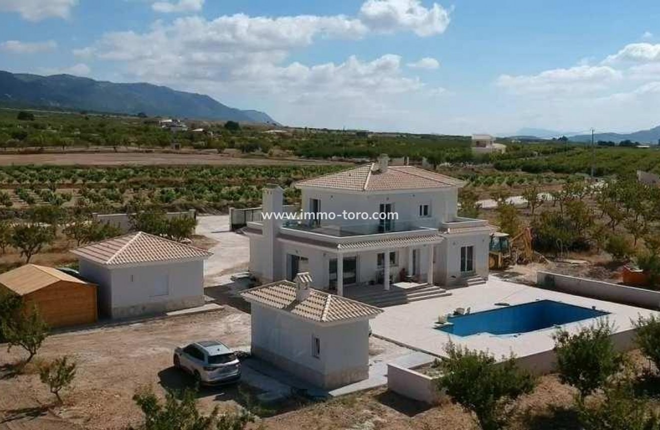 New Build - Villa - Pinoso - Camino Del Prado