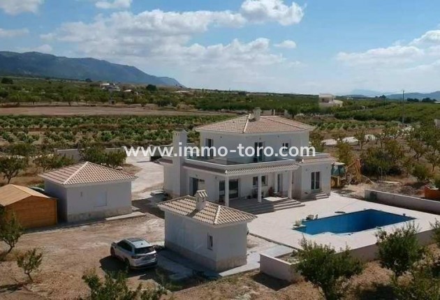 New Build - Villa - Pinoso - Camino Del Prado