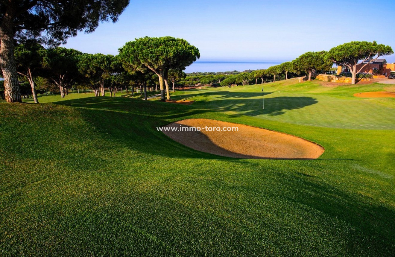 New Build - Apartment - Marbella - Cabopino Golf