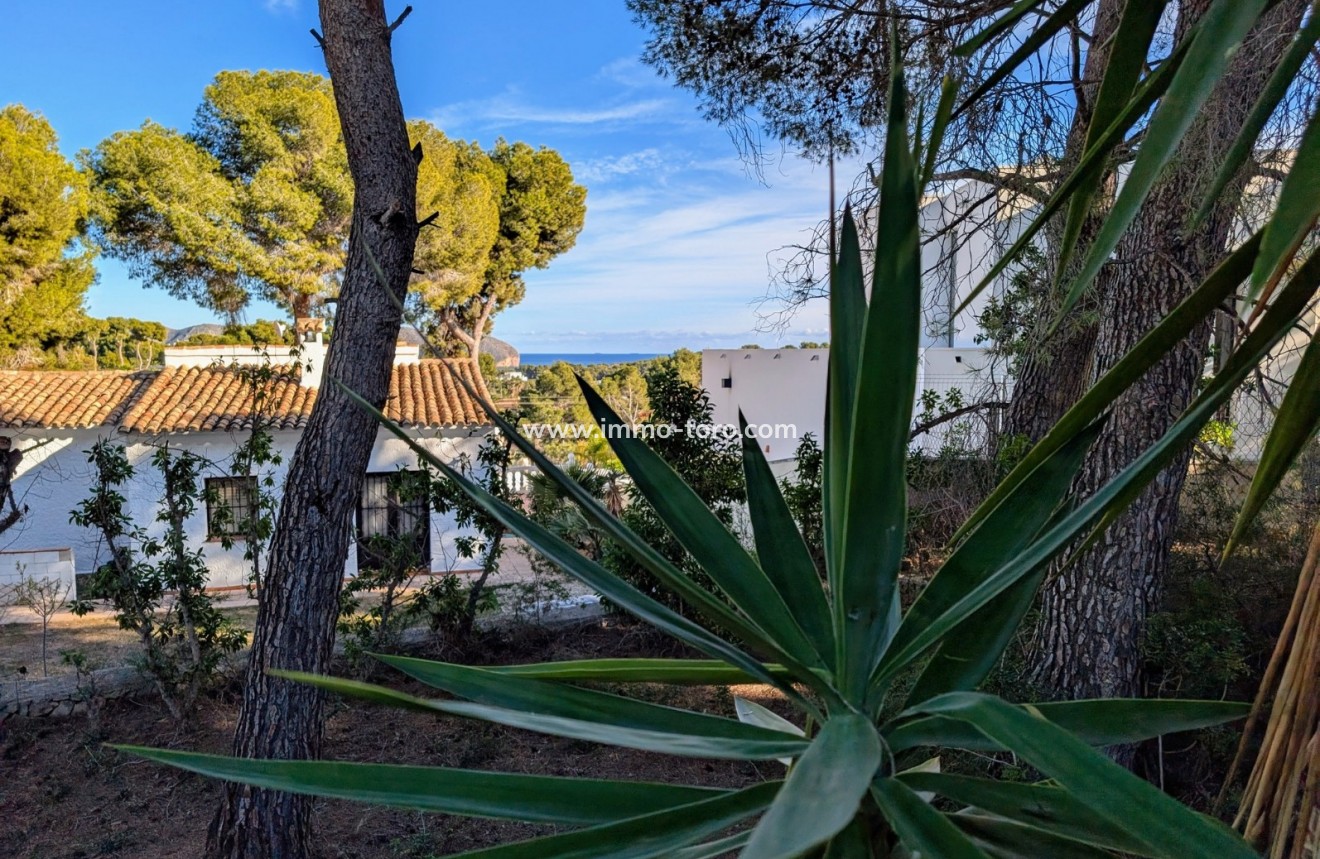 Venta - Villa / Chalet - Moraira - Moravit