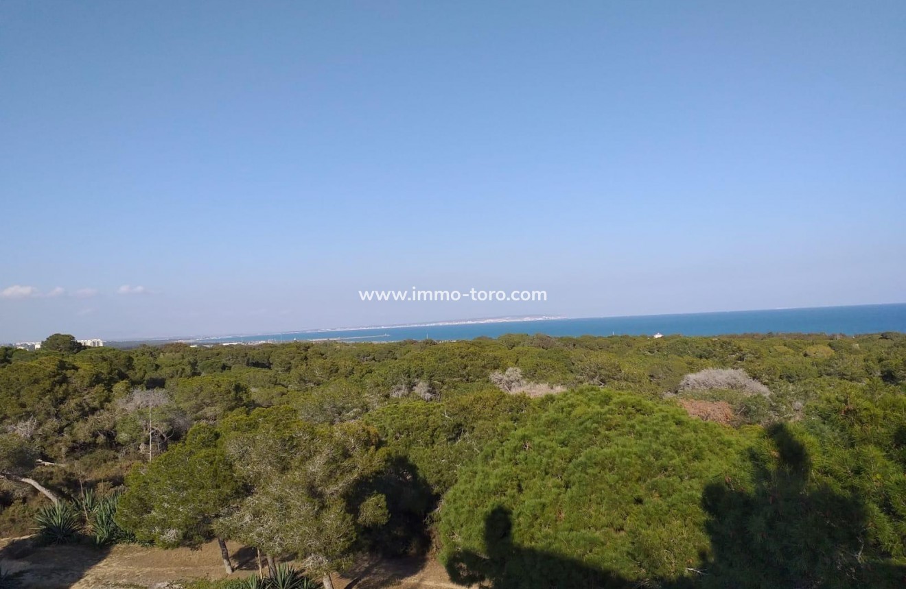 New Build - Apartment - Guardamar - Guardamar del Segura