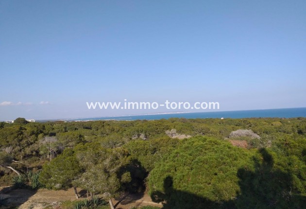 New Build - Apartment - Guardamar - Guardamar del Segura