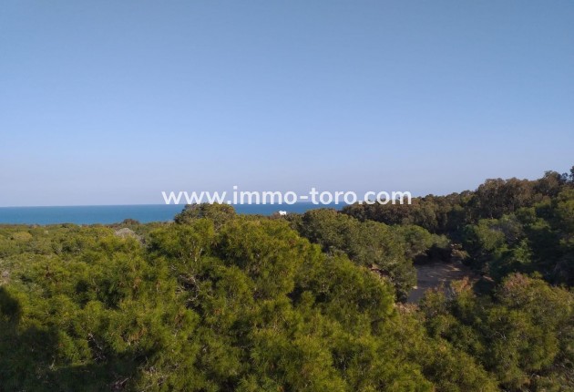 New Build - Apartment - Guardamar - Guardamar del Segura