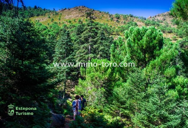 Nieuwbouw - Appartement  - Estepona - Playa de La Rada