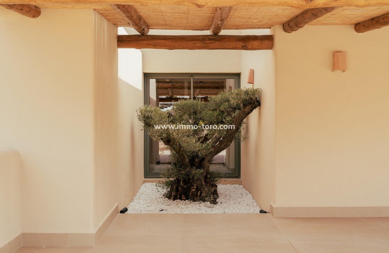 New Build - Villa - Javea - Valle del Sol