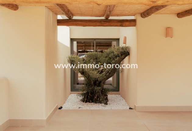 New Build - Villa - Javea - Valle del Sol