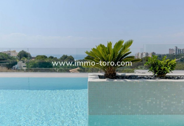 Nieuwbouw - Villa - Orihuela