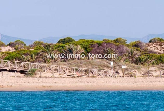 New Build - Apartment - Guardamar - Pueblo