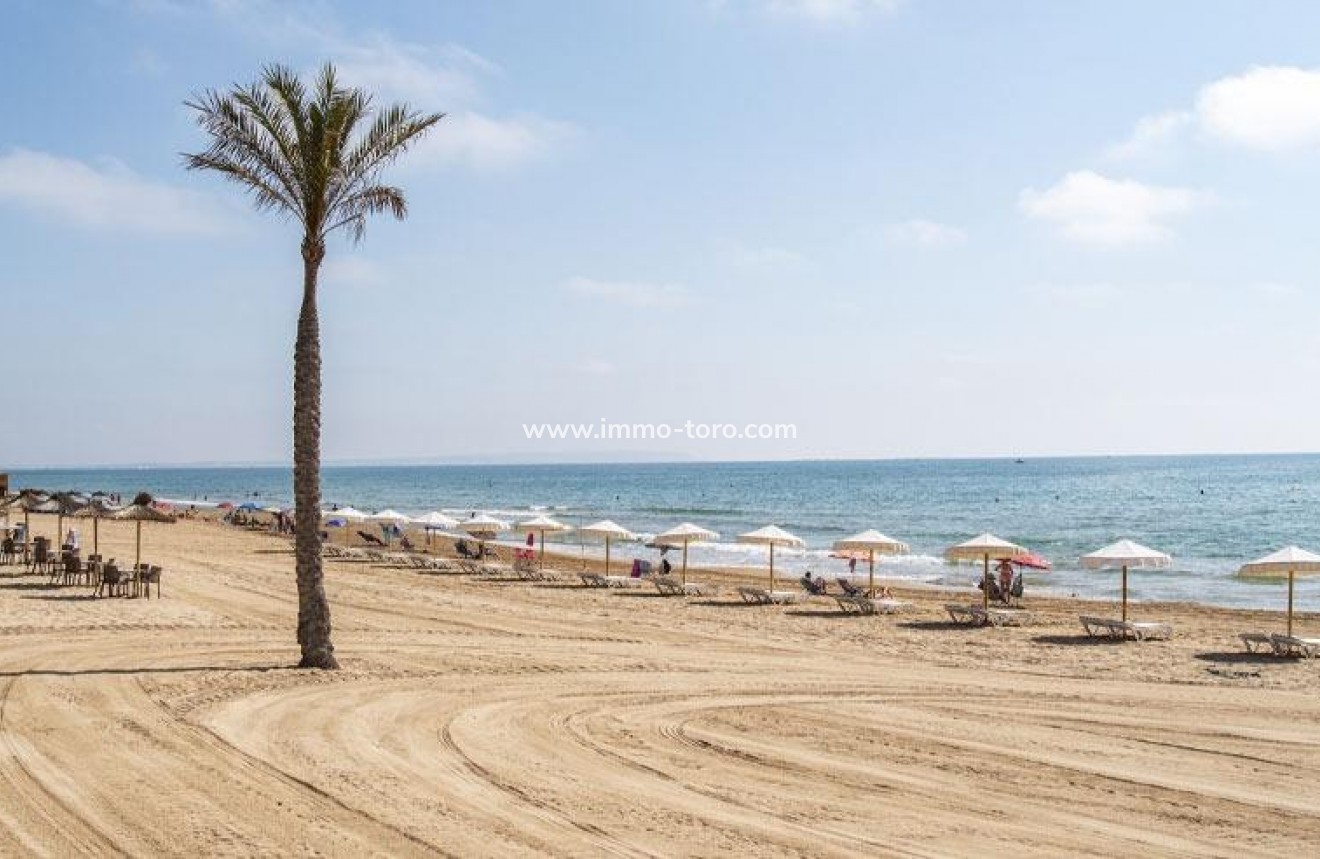 New Build - Apartment - Guardamar - Pueblo