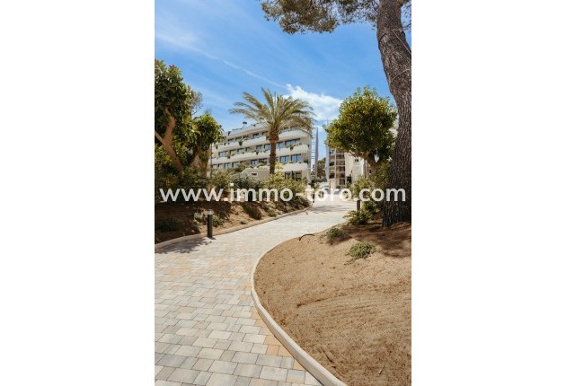 Nouvelle construction - Appartement - Alfaz del Pi