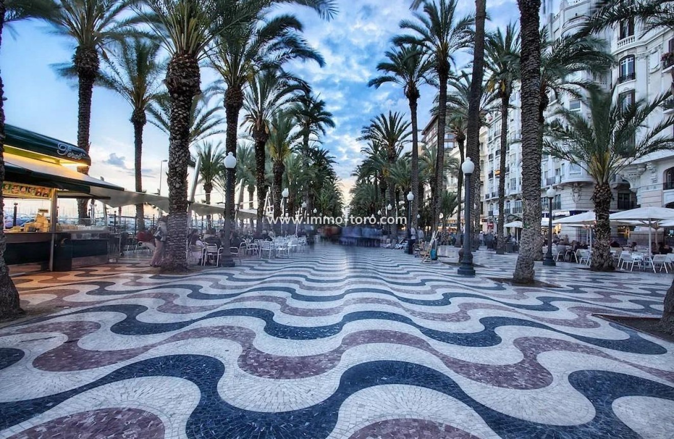 Nueva construcción  - Apartamento - Alicante - Benalua