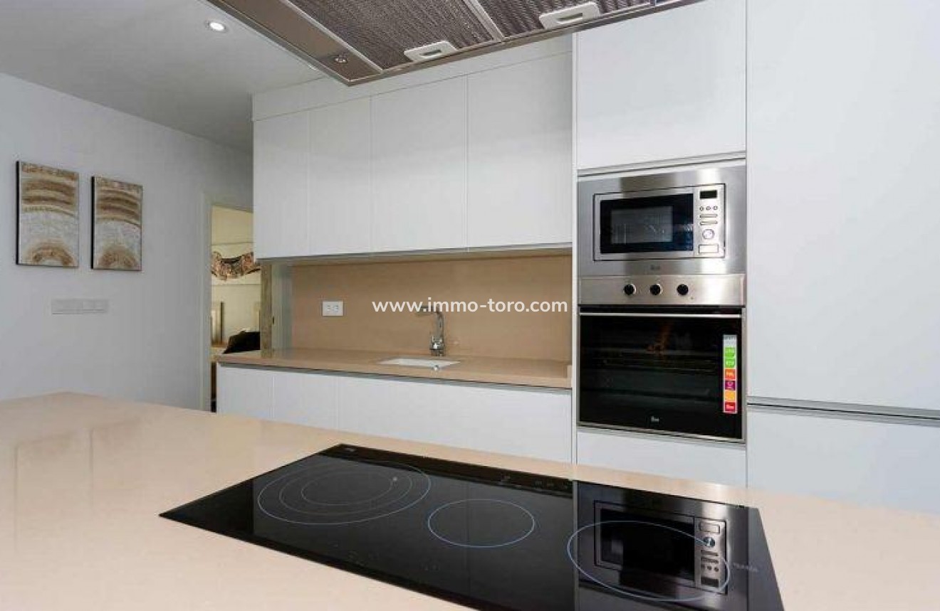 New Build - Detached house / Townhouse - Daya Nueva - CENTRO