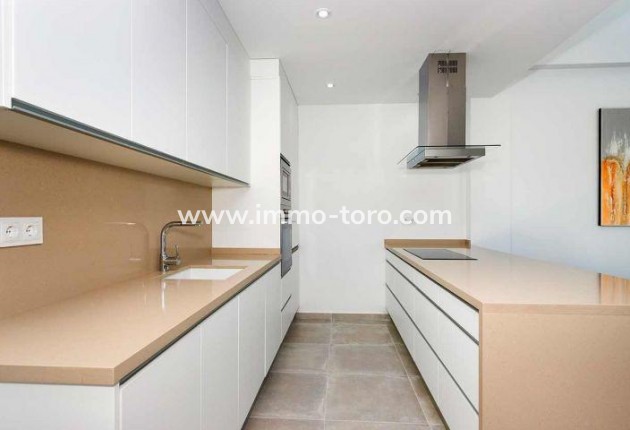 New Build - Detached house / Townhouse - Daya Nueva - CENTRO