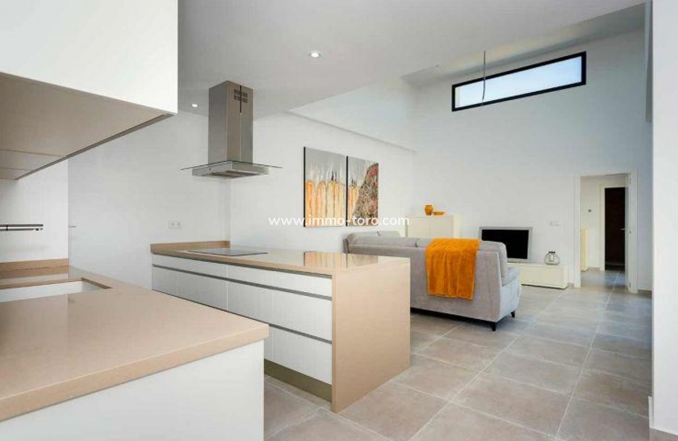 New Build - Detached house / Townhouse - Daya Nueva - CENTRO