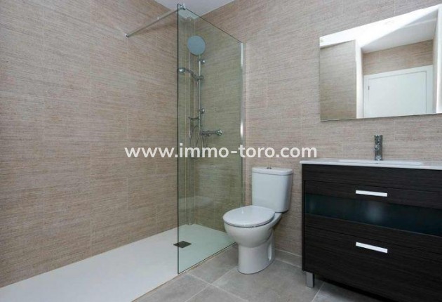 New Build - Detached house / Townhouse - Daya Nueva - CENTRO