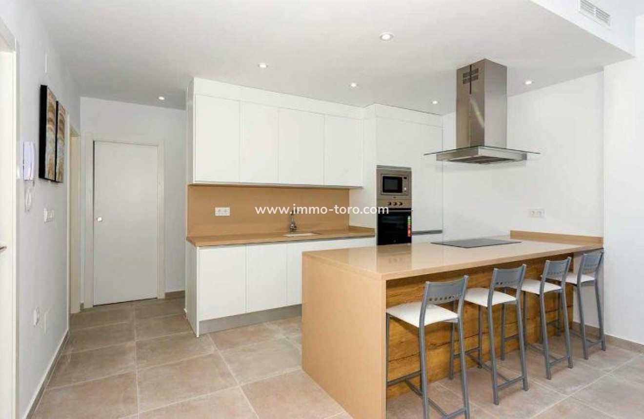 New Build - Detached house / Townhouse - Daya Nueva - CENTRO