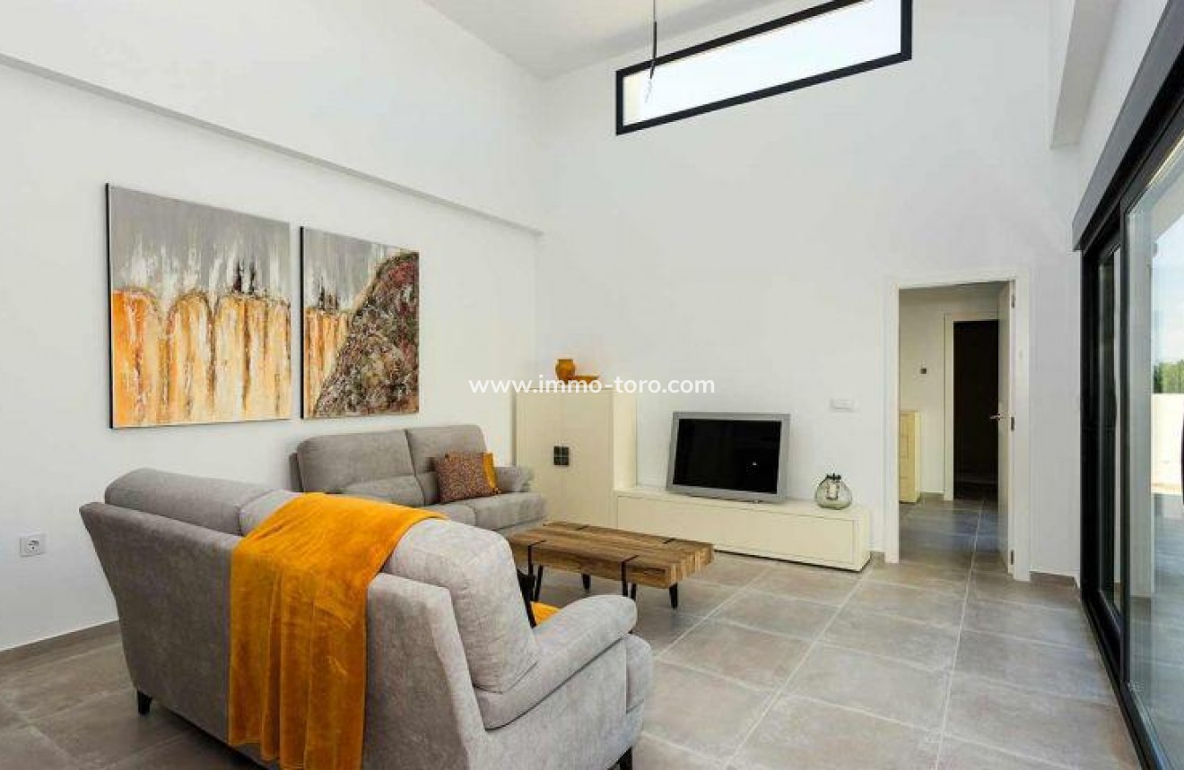 New Build - Detached house / Townhouse - Daya Nueva - CENTRO