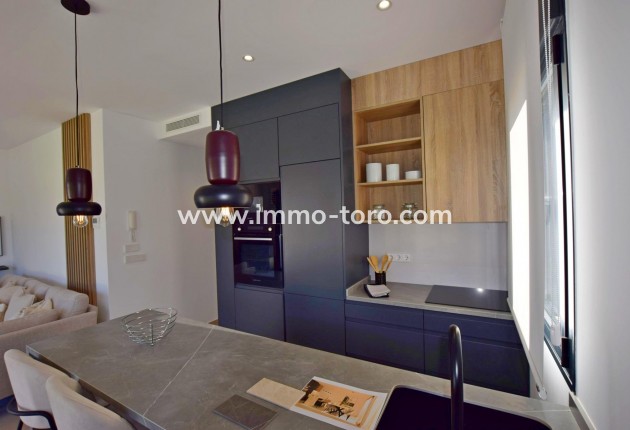 New Build - Villa - Alhama De Murcia - Condado De Alhama