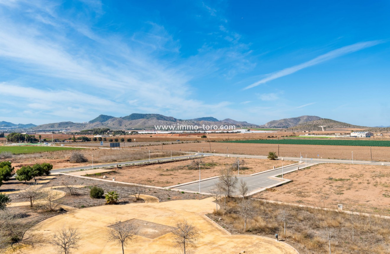 New Build - Penthouse - Islas Menores