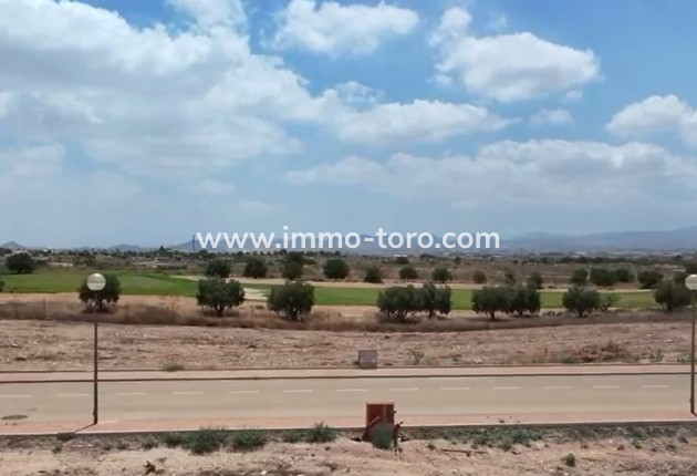 Nouvelle construction - Villa - Fuente Álamo - Fuente Alamo