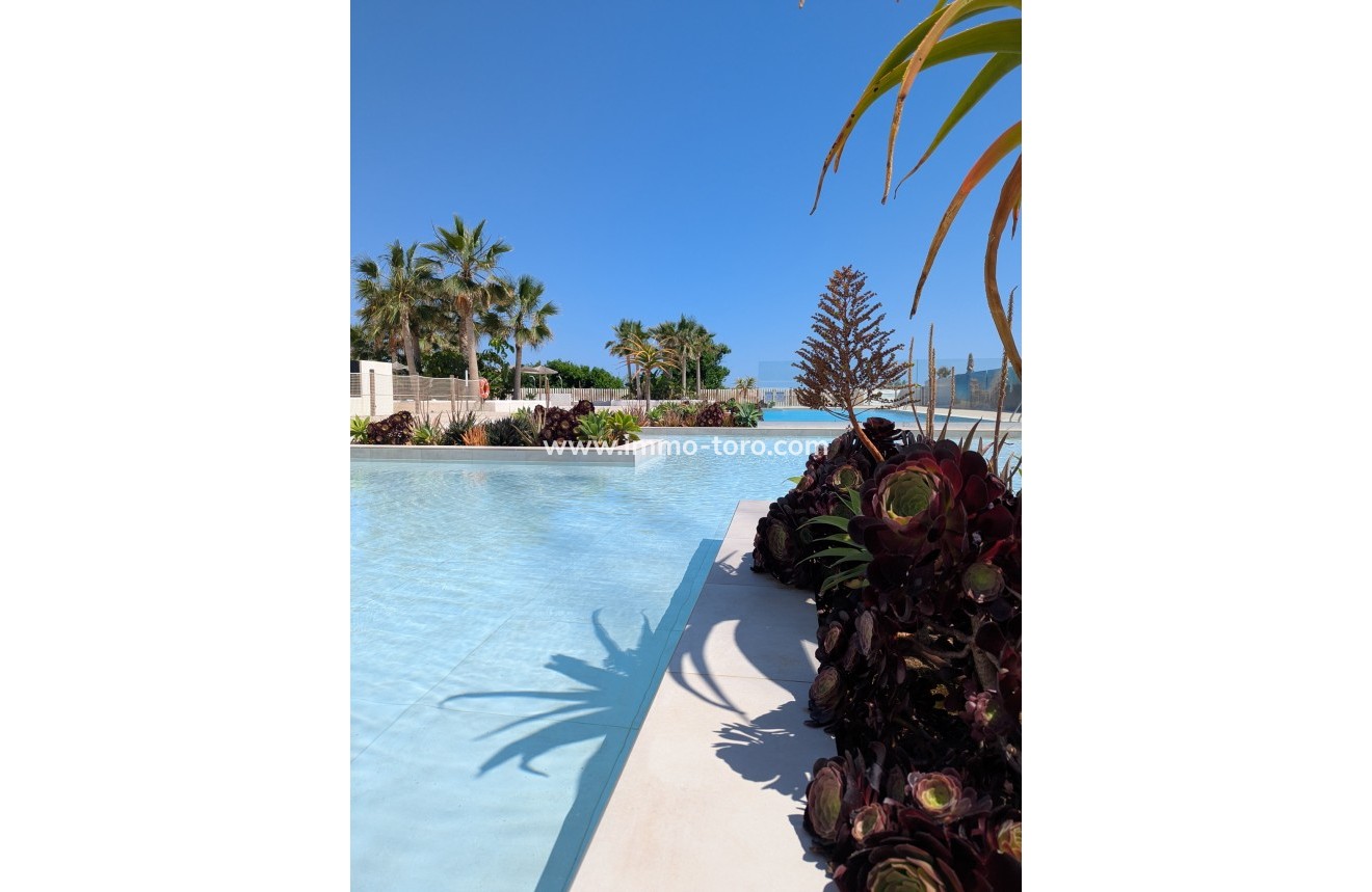 New Build - Penthouse - Denia - Dénia