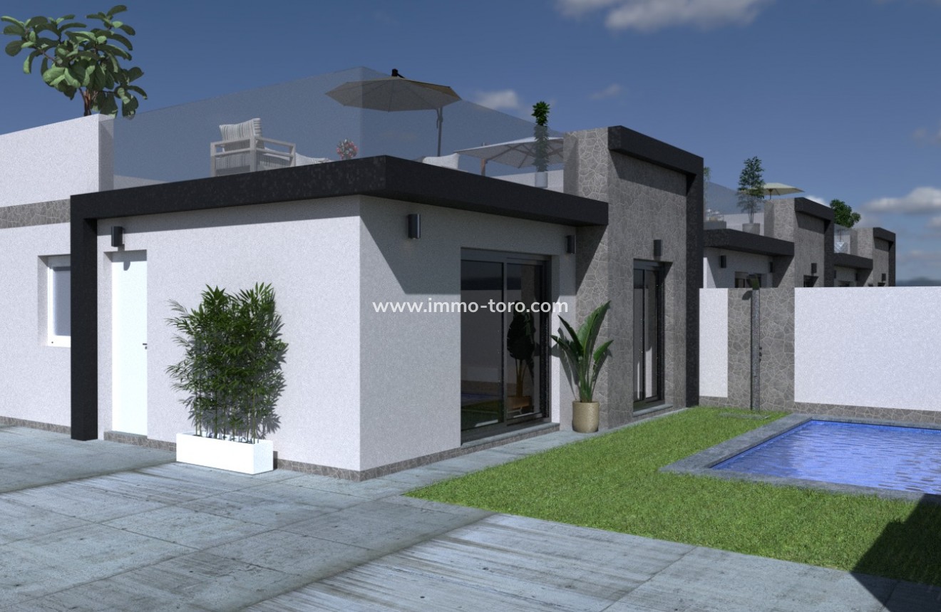 Nueva construcción  - Villa / Chalet - Balsicas