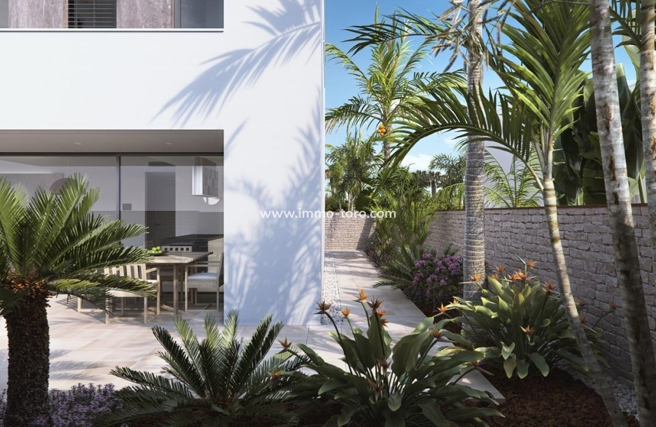 New Build - Villa - Pilar de la Horadada - Playa de las Higuericas