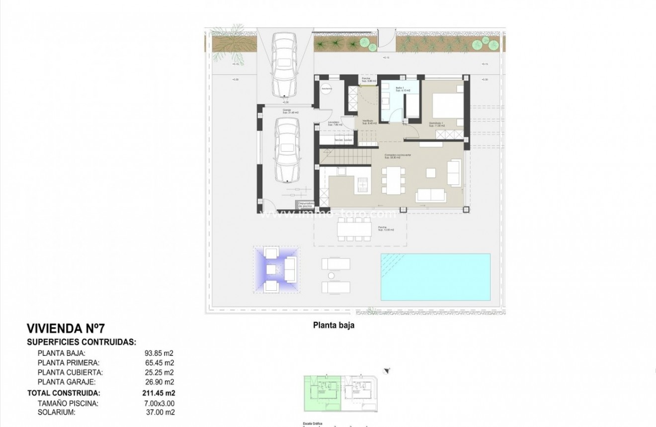 New Build - Villa - Pilar de la Horadada - Playa de las Higuericas