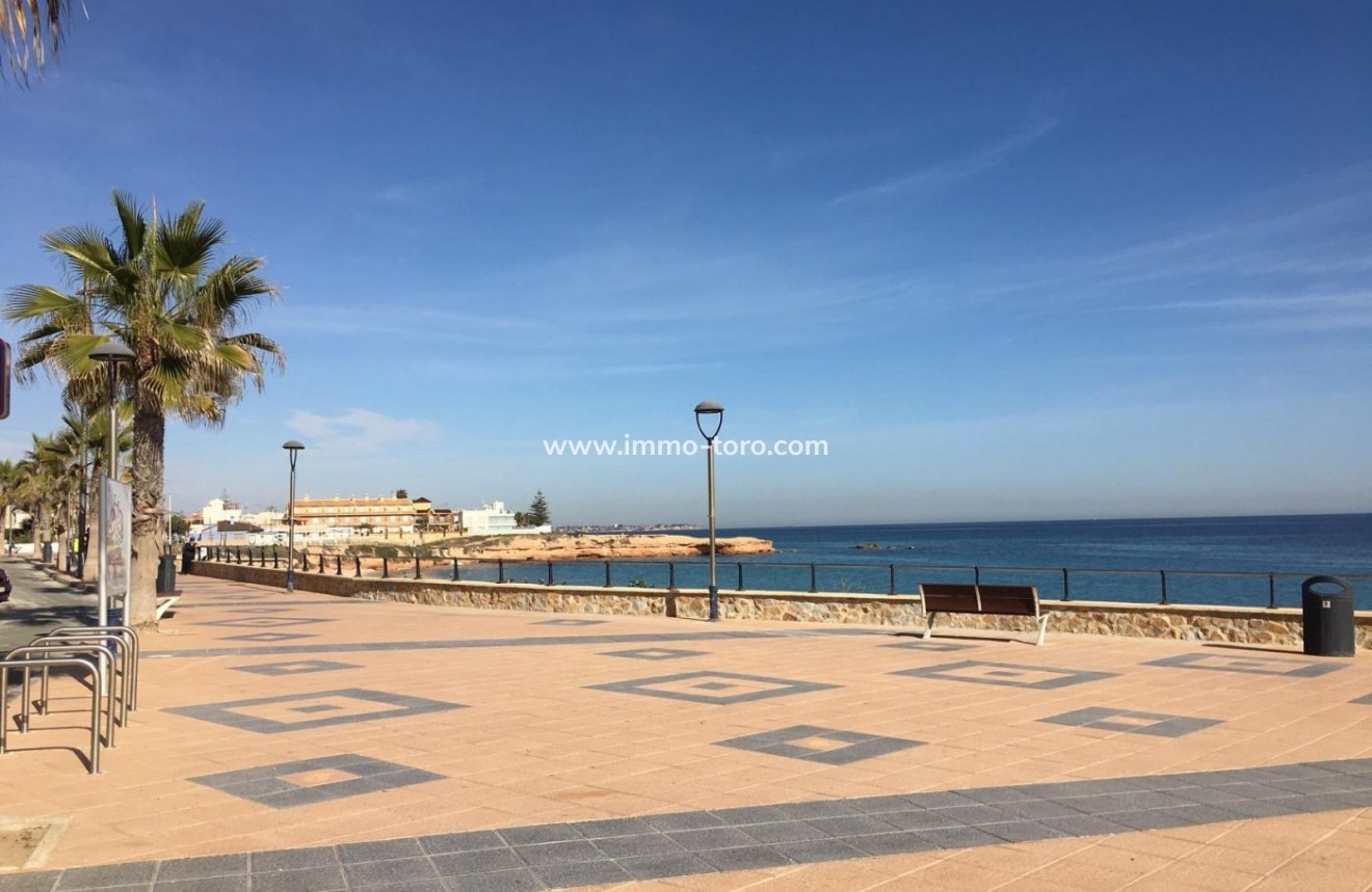 New Build - Villa - Pilar de la Horadada - Playa de las Higuericas