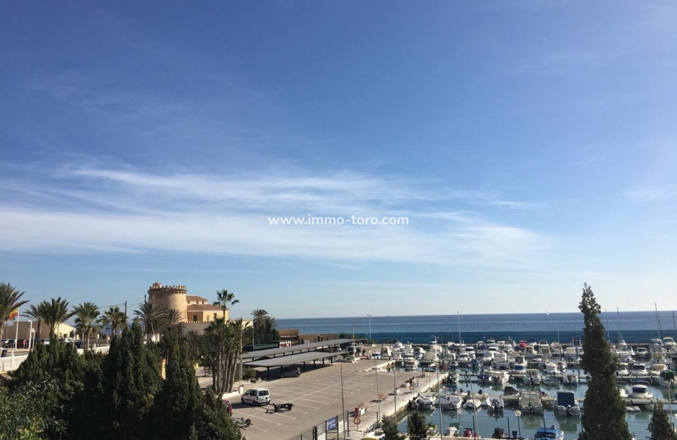 New Build - Villa - Pilar de la Horadada - Playa de las Higuericas