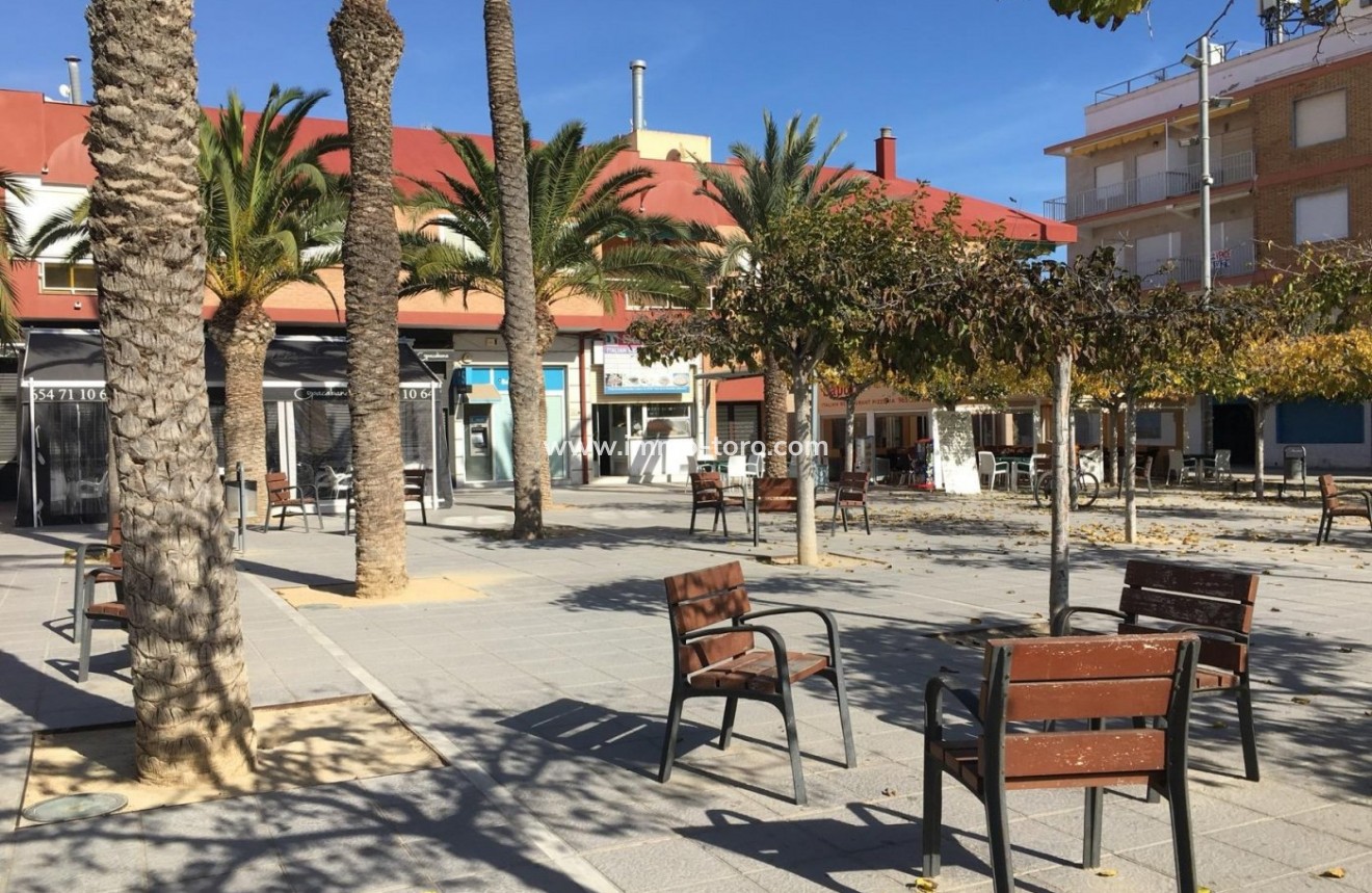 New Build - Villa - Pilar de la Horadada - Playa de las Higuericas