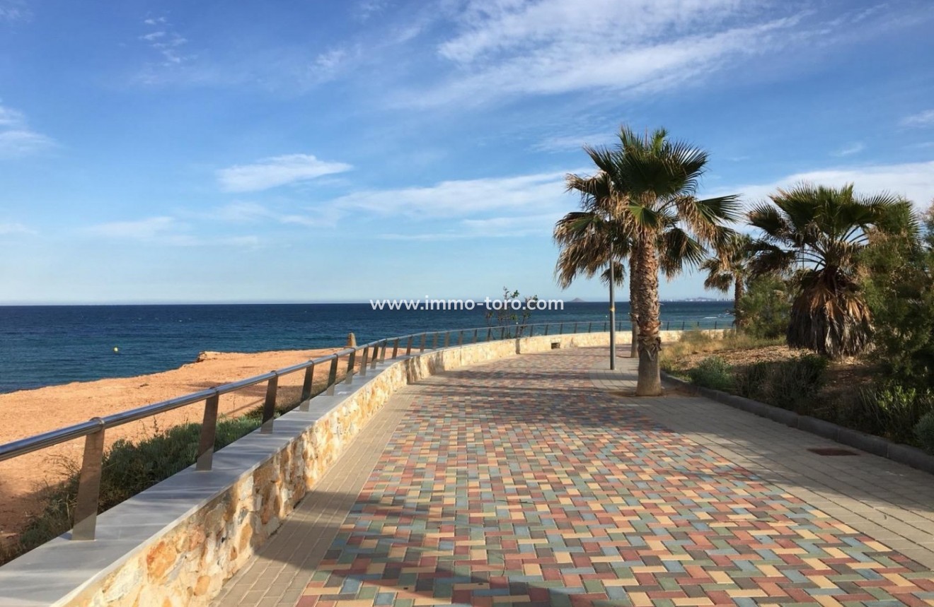 New Build - Villa - Pilar de la Horadada - Playa de las Higuericas