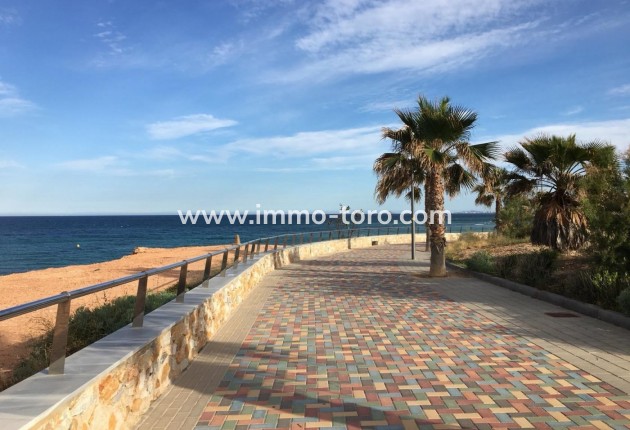 New Build - Villa - Pilar de la Horadada - Playa de las Higuericas