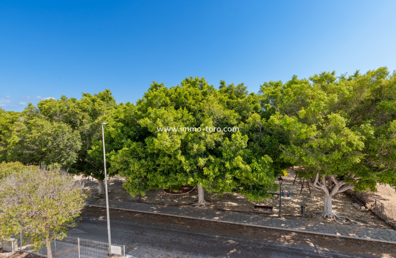 Nueva construcción  - Villa / Chalet - Pilar de la Horadada - Pilar De La Horadada