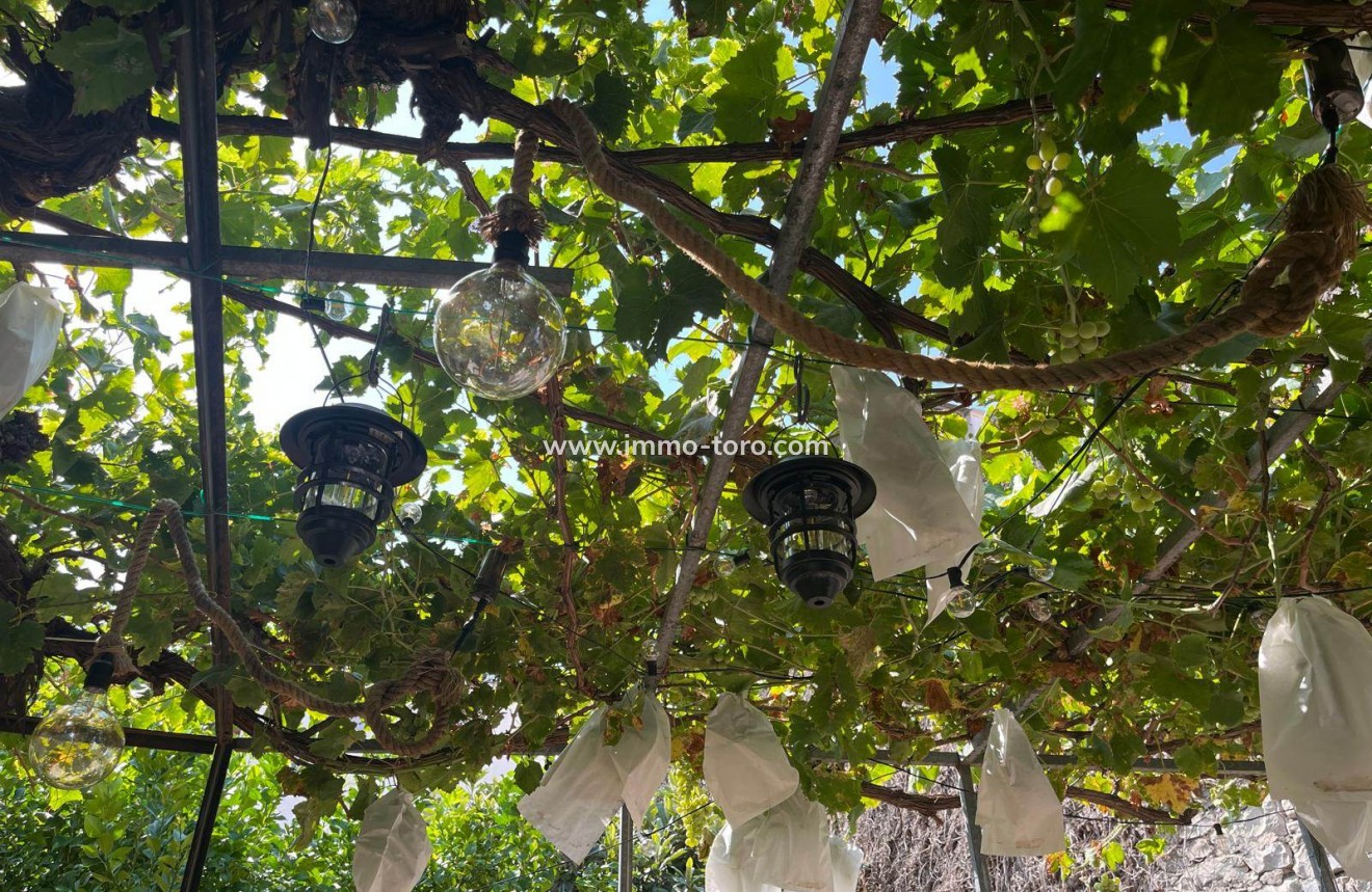 Herverkoop - Dorpshuis - Castell de Castells