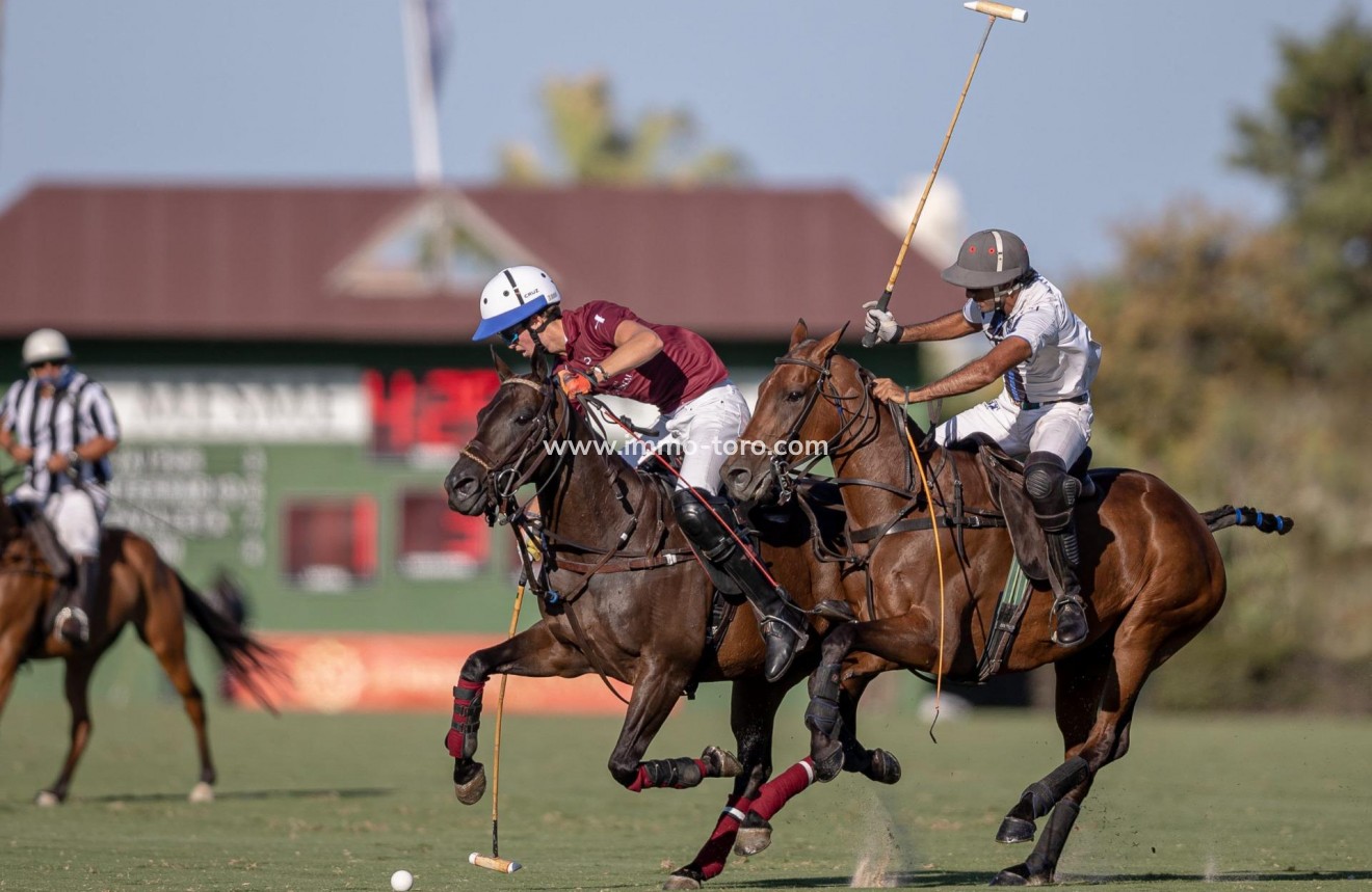 New Build - Detached house / Townhouse - Sotogrande - San Roque Club