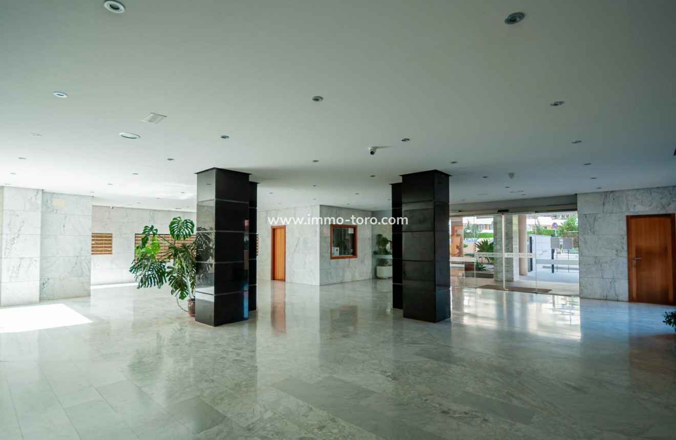 Resale - Apartment - Calpe - Playa de Fossa-Levante