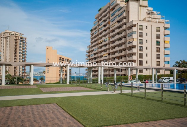 Resale - Apartment - Calpe - Playa de Fossa-Levante