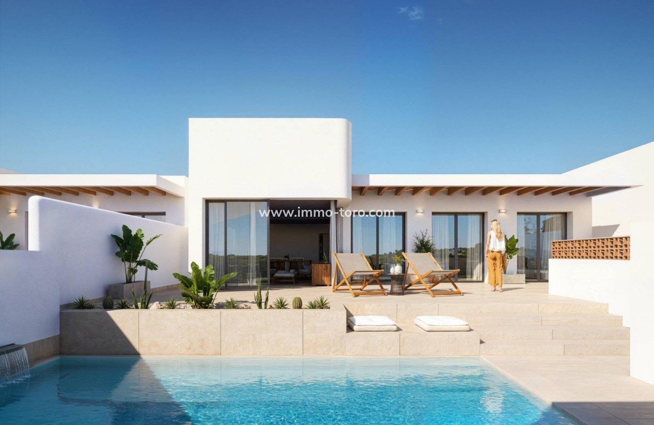 New Build - Detached house / Townhouse - Dolores - Sector 3