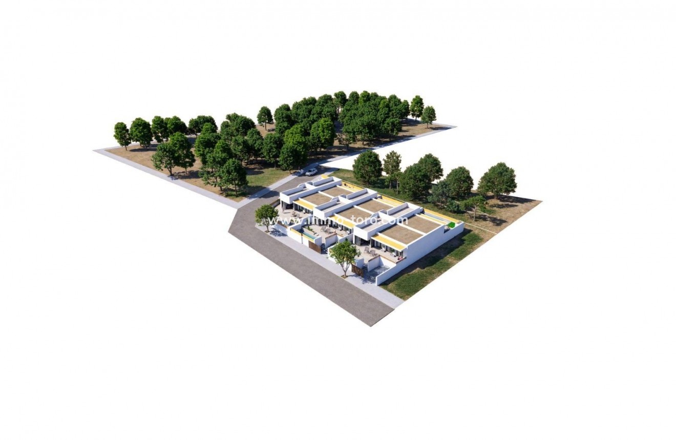 New Build - Detached house / Townhouse - Dolores - Sector 3