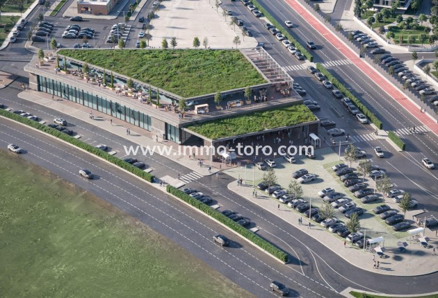 New Build - Detached house / Townhouse - Torre Pacheco - El Alba