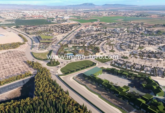 New Build - Detached house / Townhouse - Torre Pacheco - El Alba