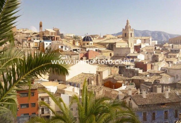 Nieuwbouw - Penthouse - Relleu - pueblo